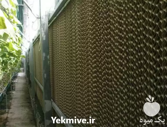 فروش پد سلولزی در هرمز در گروه خرید و فروش تجهیزات گلخانه در یکمیوه -عکس1