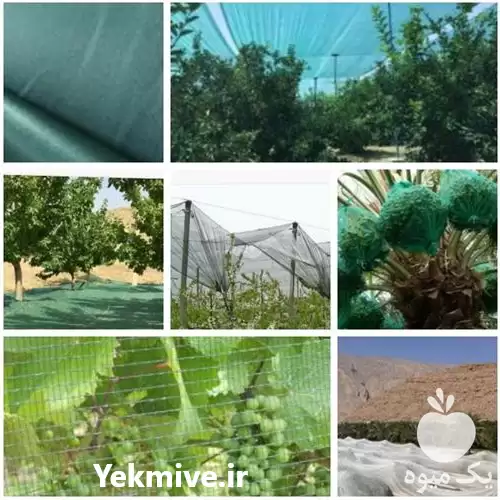فروش توری ضد سرما برای درختان در کرمان  در گروه خرید و فروش توری گلخانه در یکمیوه -عکس1