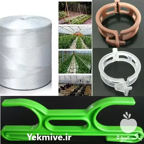 تولید و فروش گیره نگهدارنده بوته در زاهدان در گروه خرید و فروش تجهیزات گلخانه در یکمیوه -عکس1