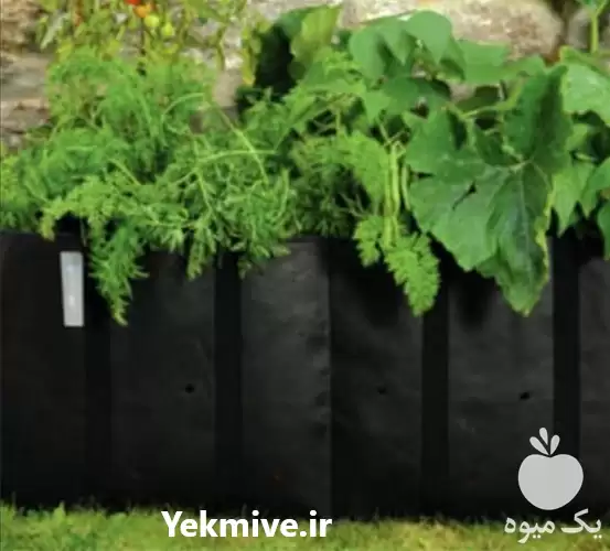 قیمت خرید کیسه نهال در هرمز در گروه خرید و فروش بسته بندی نایلونی در یکمیوه -عکس1