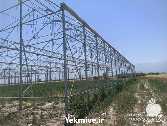 طراحی گلخانه در انواع مختلف در ساری در گروه سازنده در یکمیوه -عکس1