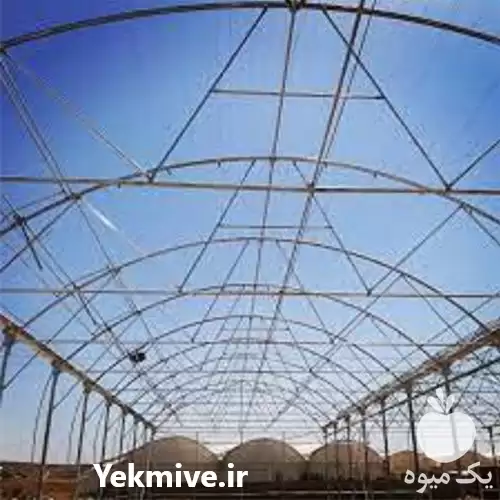 قیمت گلخانه اسپانیایی در گروه سازنده در یکمیوه -عکس1
