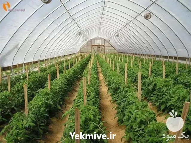 فروش اسکلت گلخانه در اصفهان در گروه خرید و فروش سوله و سازه گلخانه در یکمیوه -عکس1