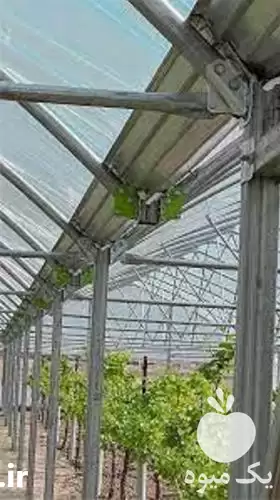 مجری سازه گلخانه پیچ مهره ای در شیراز در گروه سازنده در یکمیوه -عکس1