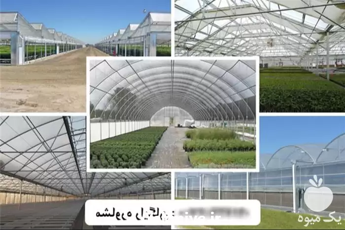 ساخت گلخانه با بهترین متریال مناسب در گروه سازنده در یکمیوه -عکس1