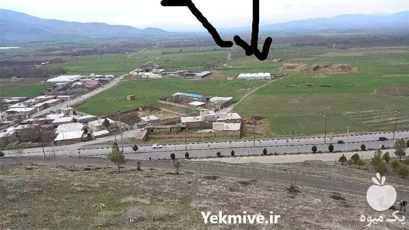 سازه گلخانه فروش گلخانه در گروه خرید و فروش سوله و سازه گلخانه در یکمیوه -عکس1