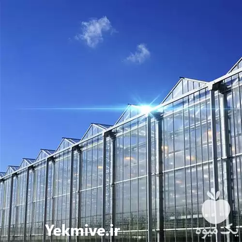 طراحی و اجرای گلخانه در تبریز در گروه سازنده در یکمیوه -عکس1
