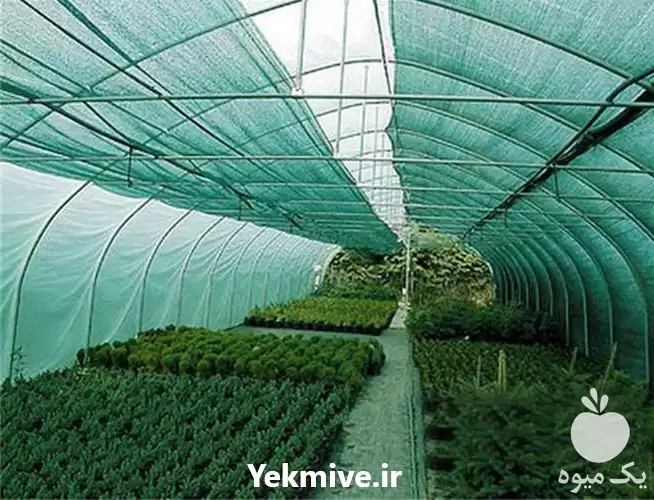 قیمت خرید شید گلخانه در مشهد در گروه خرید و فروش توری گلخانه در یکمیوه -عکس1