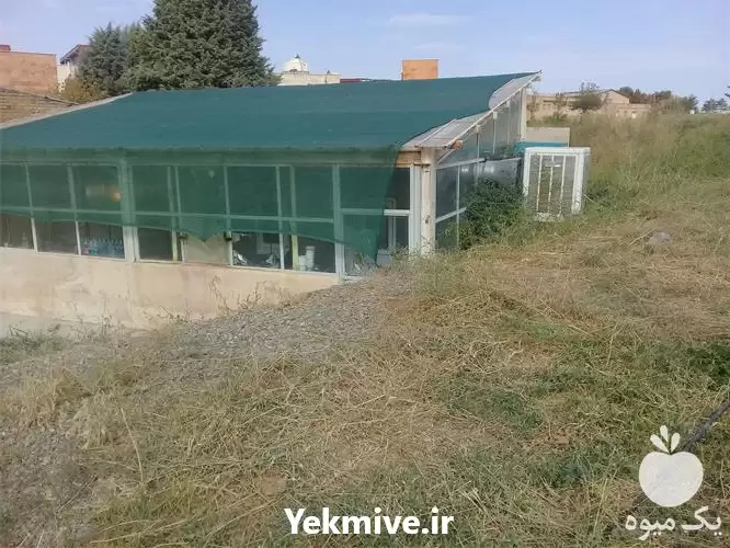 قیمت خرید شید سایبان گلخانه در گروه خرید و فروش توری گلخانه در یکمیوه -عکس1