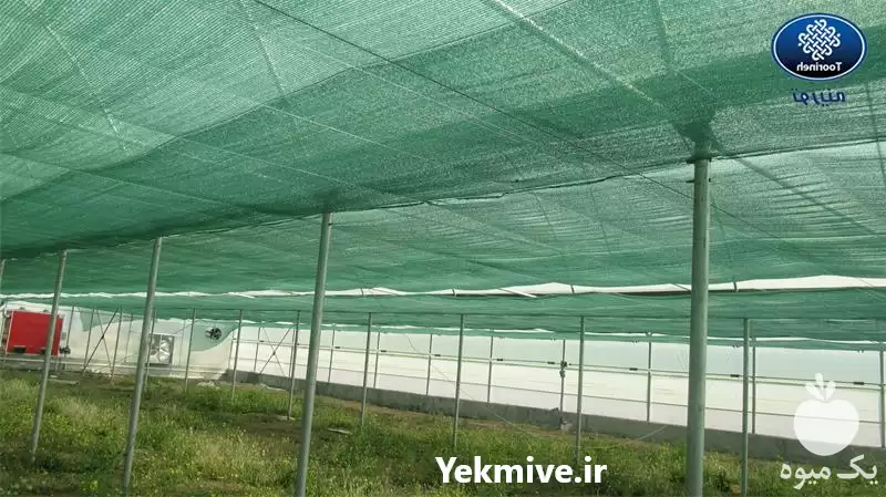 توری سایبان گلخانه توری شید در کرمانشاه در گروه خرید و فروش توری گلخانه در یکمیوه -عکس1