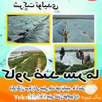 تولید و فروش کاور ضد سرما در اصفهان در گروه خرید و فروش توری گلخانه در یکمیوه
