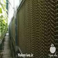 فروش پد سلولزی در هرمز در گروه خرید و فروش تجهیزات گلخانه در یکمیوه