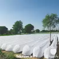 قیمت خرید کاور ضد سرمازدگی محصولات در شیراز در گروه خرید و فروش توری گلخانه در یکمیوه