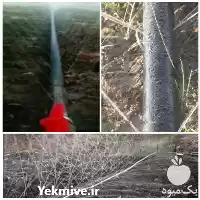 قیمت خرید لوله بارانی سوراخدار مه در اهواز در گروه خرید و فروش رطوبت ساز در یکمیوه