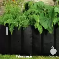 قیمت خرید کیسه نهال در هرمز در گروه خرید و فروش بسته بندی نایلونی در یکمیوه