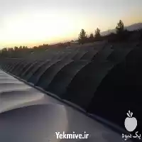 ساخت و طراحی گلخانه هوشمند در مشهد در گروه سازنده در یکمیوه