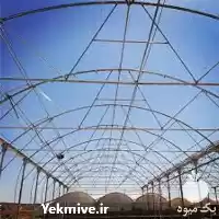 قیمت گلخانه اسپانیایی در گروه سازنده در یکمیوه