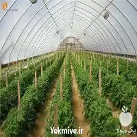 فروش اسکلت گلخانه در اصفهان در گروه خرید و فروش سوله و سازه گلخانه در یکمیوه