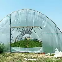 طراحی و احداث گلخانه در اصفهان در گروه سازنده در یکمیوه