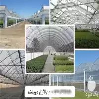 ساخت گلخانه با بهترین متریال مناسب در گروه سازنده در یکمیوه