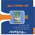 کود روی سبزینه مارال در رضویه در گروه خرید و فروش انواع کود کشاورزی در یکمیوه