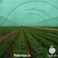 فروش توری سایبان گلخانه در گروه خرید و فروش توری گلخانه در یکمیوه