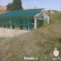 قیمت خرید شید سایبان گلخانه در گروه خرید و فروش توری گلخانه در یکمیوه