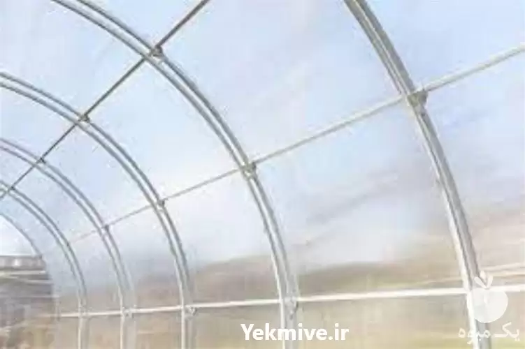 نصب اسکلت گلخانه در گروه سازنده در یکمیوه -عکس1