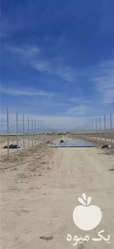 ساخت و اجرای سازه های گلخانه در تهران در گروه سازنده در یکمیوه -عکس1