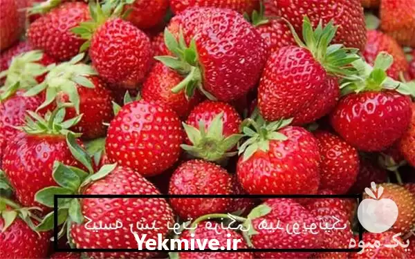 قیمت خرید گروبگ هیدروپونیک با کیفیت در گروه خرید و فروش بسته بندی نایلونی در یکمیوه -عکس1