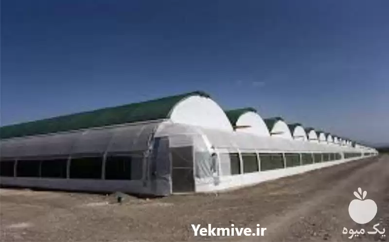 طراحی و احداث گلخانه اسپانیایی گاتیک در گروه سازنده در یکمیوه -عکس1