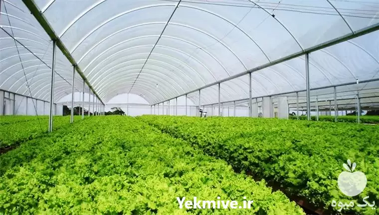 فروش تولیدی امین پلاست در گروه خرید و فروش بسته بندی نایلونی در یکمیوه -عکس1