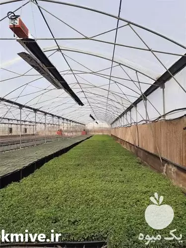 قیمت خرید گرماتاب گلخانه ای سقفی در خرم‌ آباد در گروه خرید و فروش بخاری و هیتر گلخانه در یکمیوه -عکس1