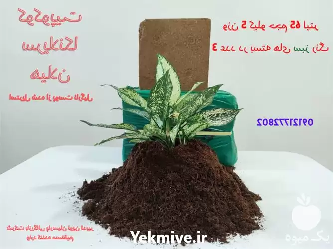 فروش کوکوپیت سریلانکا هیلان در تهران در گروه خرید و فروش انواع کود کشاورزی در یکمیوه -عکس1