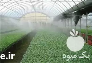 فروش سیستم میست گلخانه در گروه خرید و فروش تجهیزات گلخانه در یکمیوه -عکس1