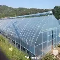 ارائه بهترین قیمت گلخانه اسپانیایی در گروه سازنده در یکمیوه