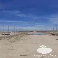 ساخت و اجرای سازه های گلخانه در تهران در گروه سازنده در یکمیوه