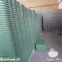 قیمت خرید سینی نشا برنج در رشت در گروه خرید و فروش نشا در یکمیوه