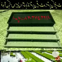 قیمت خرید سینی نشاء برنج باکس در رشت در گروه خرید و فروش نشا در یکمیوه