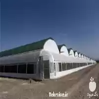 طراحی و احداث گلخانه اسپانیایی گاتیک در گروه سازنده در یکمیوه