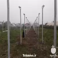 تولید و نصب گلخانه در گروه سازنده در یکمیوه