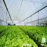 فروش تولیدی امین پلاست در گروه خرید و فروش بسته بندی نایلونی در یکمیوه