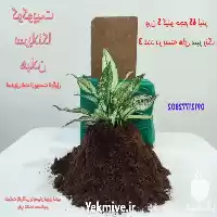 فروش عمده کوکوپیت با بهترین کیفیت در تهران در گروه خرید و فروش انواع کود کشاورزی در یکمیوه