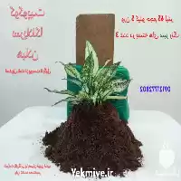 فروش کوکوپیت سریلانکا هیلان در تهران در گروه خرید و فروش انواع کود کشاورزی در یکمیوه