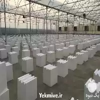 فروش تجهیزات بستر کشت هیدروپونیک در اصفهان در گروه خرید و فروش تجهیزات هیدروپونیک در یکمیوه