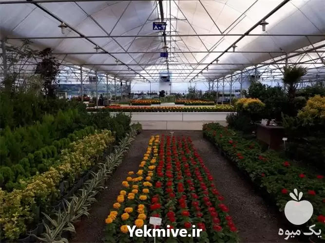 قیمت خرید پد کولر گلخانه ای در گروه خرید و فروش تجهیزات گلخانه در یکمیوه -عکس1