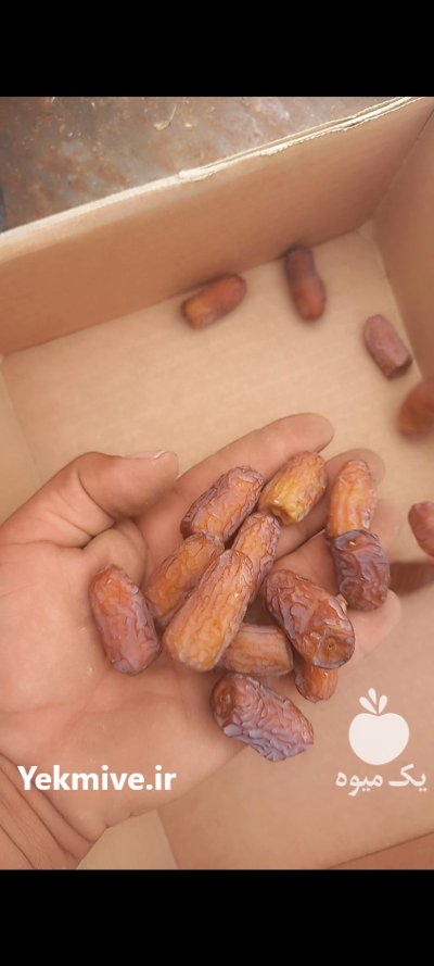 خرما پیارم و خاصویی در جهرم در گروه خرید و فروش خرما در یکمیوه -عکس1