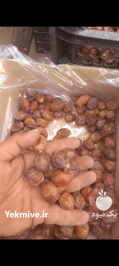 خرما پیارم و خاصویی در جهرم در گروه خرید و فروش خرما در یکمیوه -عکس2