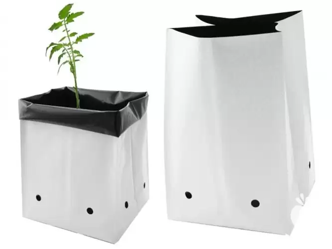 فروش بستر کشت گروبک در گروه خرید و فروش بسته بندی نایلونی در یکمیوه -عکس1