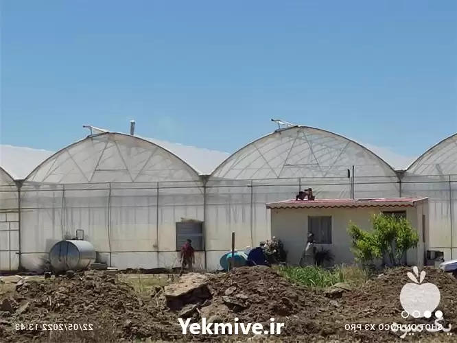 طراحی و احداث انواع گلخانه در گروه سازنده در یکمیوه -عکس1